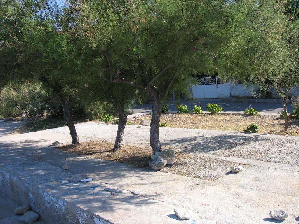 Edi + Minja Daire Brodarica  Dış mekan fotoğraf